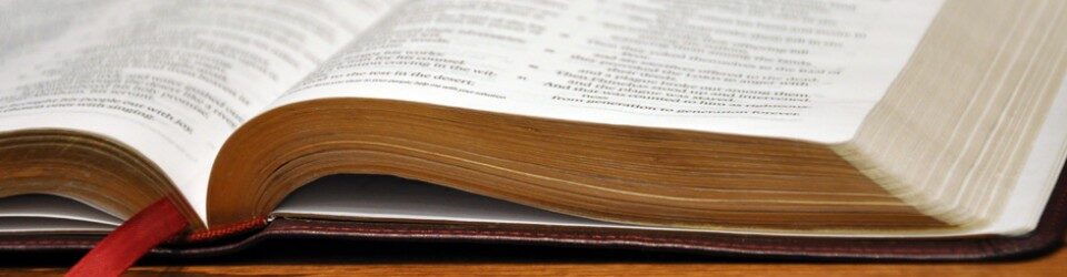 Bibel online